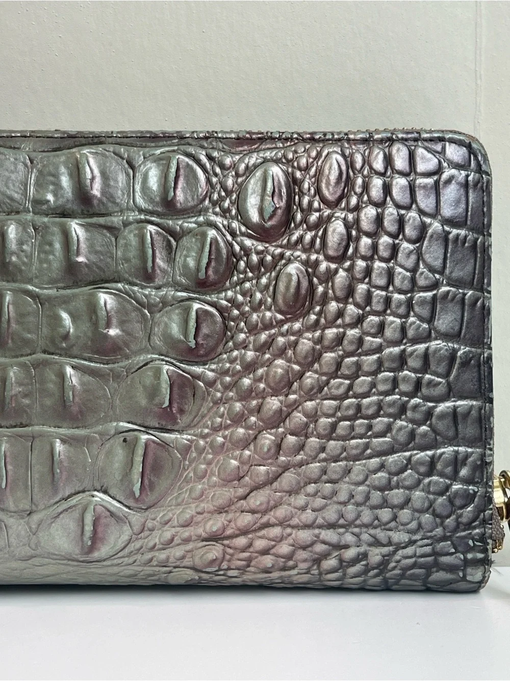 Brahmin The Skyler Clutch